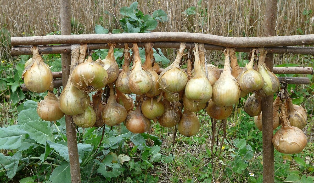 Keeping a Farm Journal for Seasonal Records